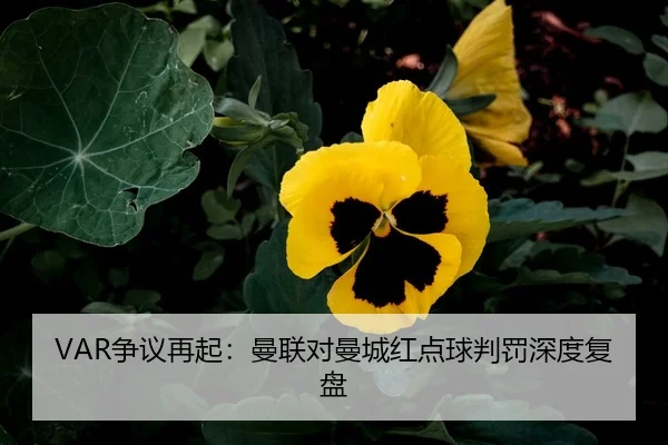 VAR争议再起：曼联对曼城红点球判罚深度复盘